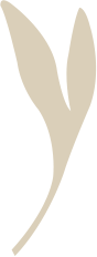 풀