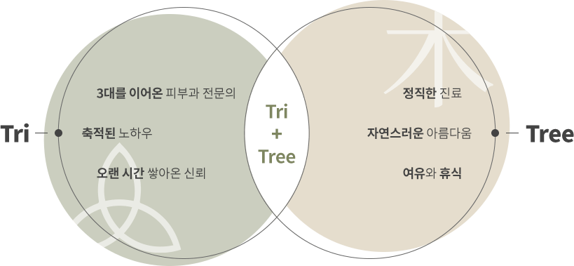 트리에