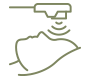 LDM