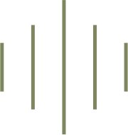 세로형 목주름